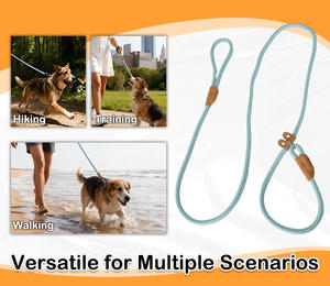 Ensemble laisse et collier pour chien de taille moyenne à grande, bleu, à capuche, réglable, vente chaude OEM/ODM, pour la marche et l'entraînement en extérieur - Product Image 6