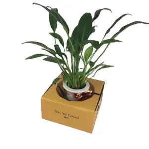 Benutzer definiertes neues Design Tragbarer Blumentopf Florist liefert Blumenvase Transport box Verpackung Blumen liefer box zum Halten der Vase