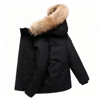 Blouson Bomber à Capuche BQ pour Homme et Femme, Streetwear Hiver, Vêtement de Travail Épais et Chaud, Anti-Froid, Rembourré, Idéal pour le Streaming en Direct et le Dropshipping