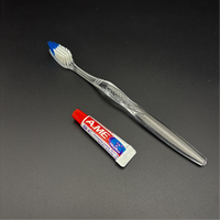 Kit de brosses à dents et de dentifrice miniatures en plastique jetables pour les clients d'hôtel