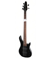 5 String Fretless Electric Bass Guitar