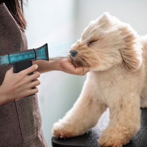 Handheld <strong>Vacuum</strong> <strong>Cleaner</strong> Car <strong>Vacuum</strong> with Brushless Motor Lightweight LED Light Slim Mini <strong>Vacuum</strong> <strong>Cleaner</strong> for Car Home Office - Product Image 2