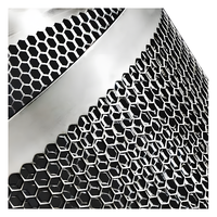 Maille de vidange d'égout en acier inoxydable 304 Plaque de maille filtrante perforée