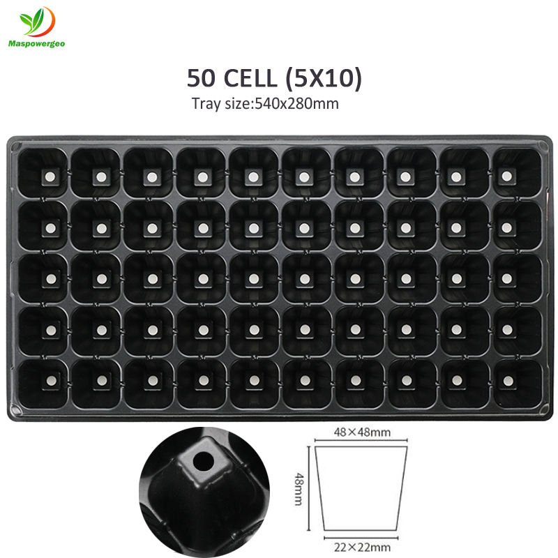 50 CELLULES PET 1mm