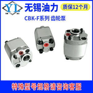 ปั๊มไฮดรอลิกแบบเกียร์รองรับอุตสาหกรรมประสิทธิภาพสูง CBK-F0.8122.02.52.73.0 ชุดจ่ายกำลังปั๊มน้ำมันไฮดรอลิก - Product Image 5