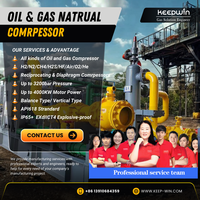 250bar 350bar 400bar 500bar 700bar Thermique Amélioré Azote Gaz Piston Alternatif Compresseur Pompe Moteur pour Huile Améliorée