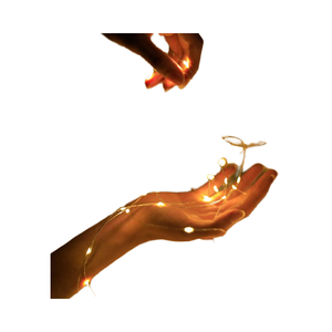 Guirnalda <span class=keywords><strong>de</strong></span> Luces LED con Forma <span class=keywords><strong>de</strong></span> Flores, Luces <span class=keywords><strong>de</strong></span> Hadas, Luces Intermitentes <span class=keywords><strong>de</strong></span> Luciérnaga, Decoración para Fiestas <span class=keywords><strong>de</strong></span> Graduación, Manualidades, Bricolaje, Blanco Cálido, Colorido, 1 Metro - Product Image 4