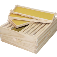 10PCS Kiefernholz Medium Super Bee Rahmen mit gelben Kunststoff fundament platten, Langs troth Bienenstock Teile Unmontiert