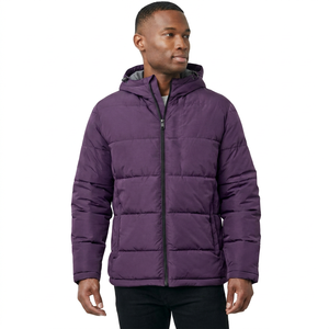 Chaqueta de Invierno Ligera para Hombre, con Capucha, Acolchada, Informal, para Actividades al Aire Libre - Product Image 1