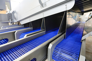 用于虾加工的虾分级机设备 - Product Image 5