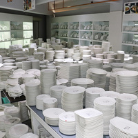 Plats en Céramique Blanche à Prix Fou, Modèle Tailles Variées, Vente Chaude sur le Marché, Vaisselle Céramique Vendue à la Tonne