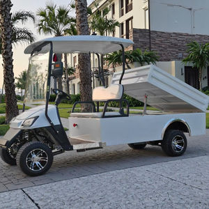 Chariot de golf à gaz 1-2 passagers Buggy Car Pickup Truck Certified EEC for Hunting Golf Courses - Product Image 4