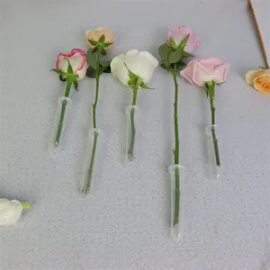 Popular plástico fresco flor frascos nutrição tubulação tubos de água para flor tampa transparente