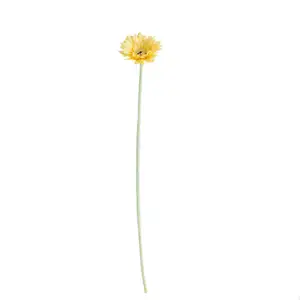 Vendita calda piccoli fiori recisi freschi di crisantemo spruzzato