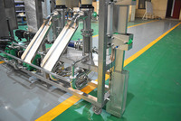 Complete productielijn voor ananassap, industriële drankenverwerkingsmachines, voedselveilige roestvrijstalen 304-motor