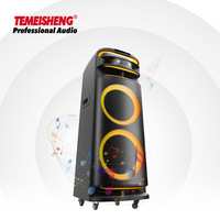 Module d'amplificateur de sonorisation actif rechargeable Temeisheng 300W avec prise en charge de carte mémoire, woofer et lumière disco RVB clignotante