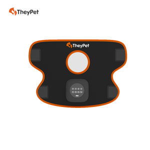 Cheval Physiothérapie LED Rouge Bleu Sangles Soulagement Des Blessures Des Tissus Mous <span class=keywords><strong>Détumescence</strong></span> Anti-Inflammatoire Aucun Équipement De Désinfection Latérale - Product Image 5