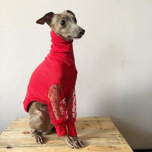 Qiqu-mono suave y cálido para perros italianos, producto en línea para tienda <span class=keywords><strong>de</strong></span> mascotas - Product Image 2