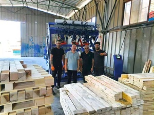 Machine à granulés <span class=keywords><strong>de</strong></span> <span class=keywords><strong>bois</strong></span> pour la fabrication <span class=keywords><strong>de</strong></span> palettes en <span class=keywords><strong>bois</strong></span>, avec ensacheuse et scelleuse <span class=keywords><strong>de</strong></span> sacs plastiques, pour palettes <span class=keywords><strong>de</strong></span> <span class=keywords><strong>bois</strong></span> <span class=keywords><strong>de</strong></span> eucalyptus et <span class=keywords><strong>bois</strong></span> tendres, capacité 1-2T/H, personnalisable, très demandée - Product Image 4