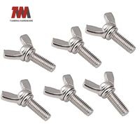 Vis à tête papillon Taiming Wing Bolt personnalisée M3-M12 DIN316 en acier inoxydable 304 finition naturelle, vis à tête hexagonale 25 mm