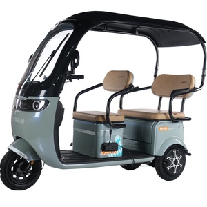 Triciclo Eléctrico Cerrado de 3 Ruedas para Adultos, Marca Q5, Fabricado en China, con Cubierta para Lluvia, Motor de 48V 600W, Velocidad Máxima de 50-70 km/h - Product Image 1