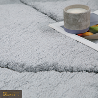 Tapis shaggy de luxe LandScopeTech, 25 mm, à poils longs, gris, moelleux, tapis belge Wilton, isolation acoustique, chambre principale, doux