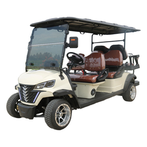 Carrito de golf eléctrico de alta calidad de fábrica original de 48V carrito de golf duradero de 6 pasajeros Ebike carrito de golf para club - Product Image 1