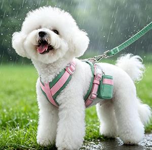 No Pull No Choke Puppy Vest <b>Harness</b> Set Soft Padded Dog <b>Harness</b> with Leash Collar Bandana Poop Bag Escape Proof Adjustable <b>Pet</b> - Product Image 1