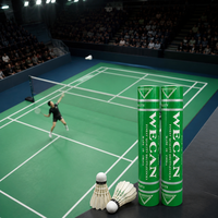 Vente en gros de balles de sport WECAN Green Brand de haute qualité, en plumes d'oie, avec tête en liège composite à 2 couches, écologiques, haute durabilité