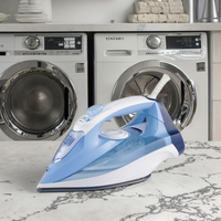 Fer à vapeur électrique portable en céramique, design moderne, garantie 1 an, fonction vapeur verticale et sèche-linge, réservoir d'eau 300 ml