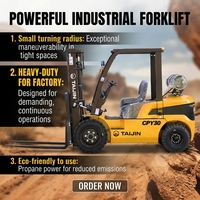 Chariot élévateur à essence GPL TAIJIN CPY-30 de 3 tonnes, norme CE, avec transmission automatique, cabine de luxe, moteur japonais pour le marché européen