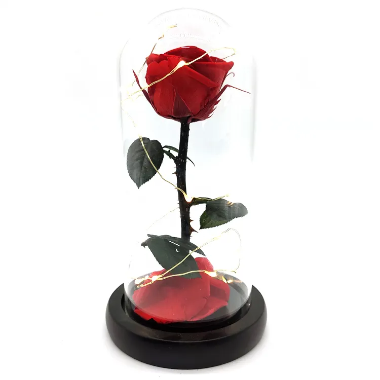 Großhandel Beauty und das biest rose real erhalten rose blume in glas dome mit Led licht geschenk für Valentine der Day