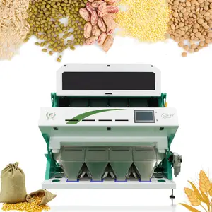 Máquina de separación de granos de arroz, anacardo, clasificador de Color de sal para grano de té