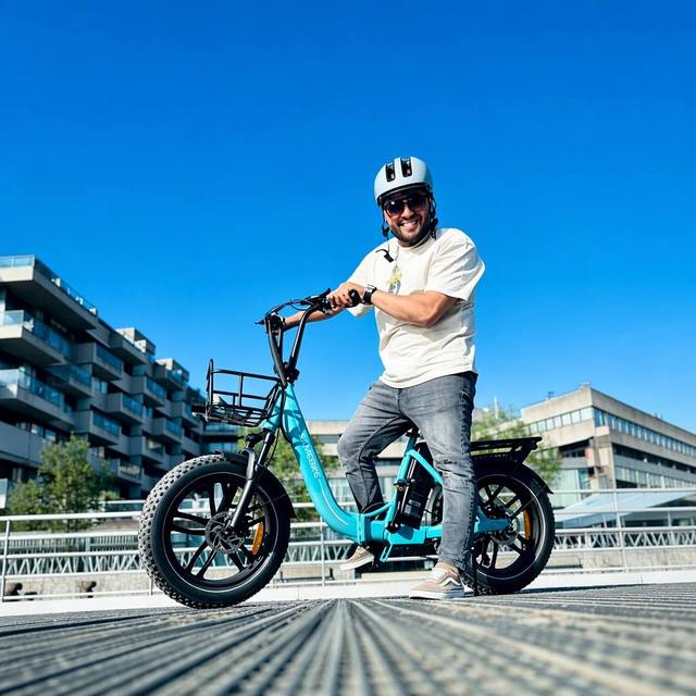 European Stock 20inch Shimano 7 Speed City Ebike Fat Tire Ebike With 36V13AH Lithium Battery Waterproof Ebike