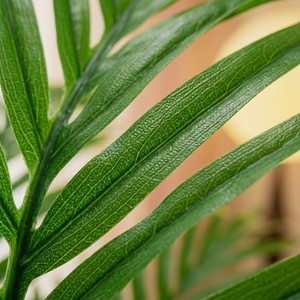 Palma Artificiale Realistica Grande in Vaso, Palma Areca Simulata <span class=keywords><strong>per</strong></span> Arredamento Interno Casa Ufficio, Stile Nordico Verde - Product Image 3
