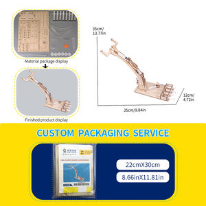 Brazo mecánico hidráulico de madera hecho a mano para estudiantes de secundaria experimento de ciencia DIY STEM Toys - Product Image 2