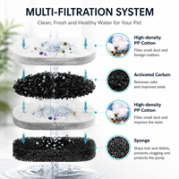 Fontaine à eau automatique pour animaux de compagnie en acier inoxydable, rechargeable, silencieuse, transparente, utilisation en intérieur, adaptée aux chats et aux chiens