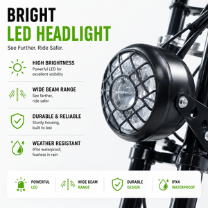 <span class=keywords><strong>Tricycle</strong></span> <span class=keywords><strong>électrique</strong></span> de transport à pneus larges de 24 pouces, 48V 750W, certifié DOT, pour neige et transport, avec batterie au lithium et assistance au pédalage - Product Image 2