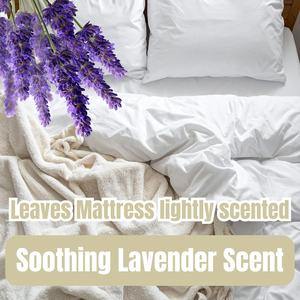 Nettoyant et Désodorisant Professionnel pour Matelas, Idéal pour la Location Hôtelière et les Services de Nettoyage en Profondeur, avec Formule Anti-Acariens - Product Image 5