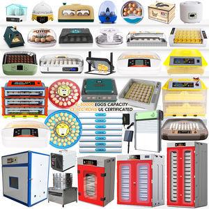 Nouvel incubateur Hhd, incubateurs à œufs pour 25 œufs, <span class=keywords><strong>prix</strong></span> au Pakistan, Lahore, éclosion de vos animaux de compagnie à vendre - Product Image 1