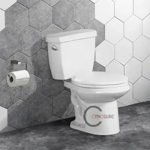 Toilette siphon en céramique blanche, piège sanitaire, en deux pièces, économique