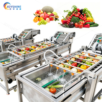Industriële reinigingsmachine voor de verwerking van fruit en groenten, capaciteit 100-1000 kg voor groente- en fruitkiemen