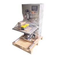 Machine de remplissage aseptique Bag-in-Box pour œufs entiers liquides, machine de remplissage BIB