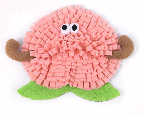 Pêche