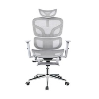 Chaise de Visiteur Exécutive Ergonomique en Maille avec Support Lombaire pour Salles d'Attente et Bureaux