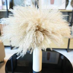 Pétalos de Rosa, Lavanda, <span class=keywords><strong>Eucalipto</strong></span> y Hierba de Pampas Seca en Trozos Pequeños |   Decoración Bohemia Natural, Ecológica y Duradera para el Hogar y Eventos | - Product Image 2