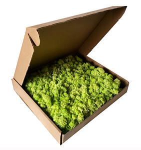 壁パネル保存トナカイモスウォールアート装飾用保存モスアイリッシュモス - Product Image 4