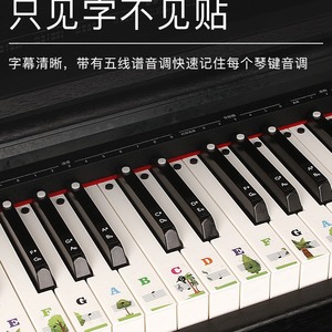 Autocollants pour touches de piano en PVC, notes musicales de dessin animé, adhésif imperméable pour clavier à 88, 61, 54 touches, aide à l'apprentissage - Product Image 2