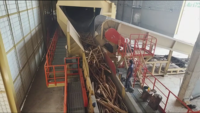 Machine à décortiquer les bûches Winho, décortiqueuse de bois à haute efficacité pour la production de granulés de bois et de biomasse