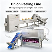Productielijn voor ui en knoflook, machine voor de verwerking van ui en knoflook, ui- en groenteschiller, -snijder en -sorteermachine
